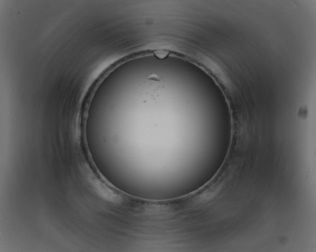 X0000093391076200710111511