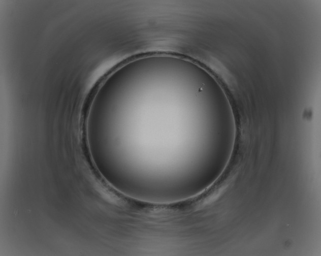 X0000093391077200710111510