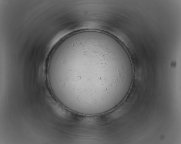 X0000093391078200710111510