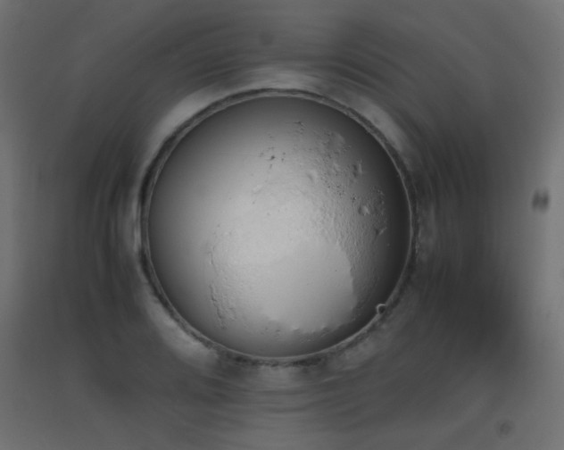 X0000093391080200710111510