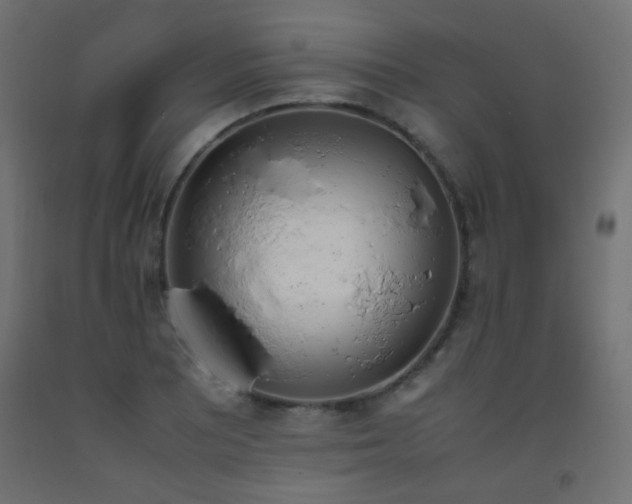 X0000093391081200710111510