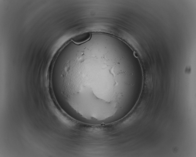 X0000093391082200710111510