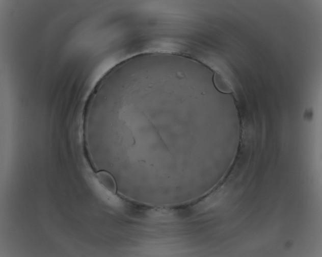 X0000093391083200710111510