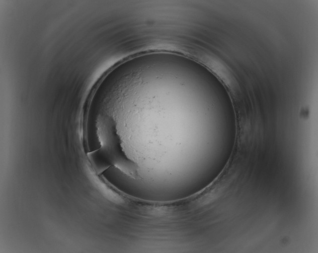 X0000093391084200710111510