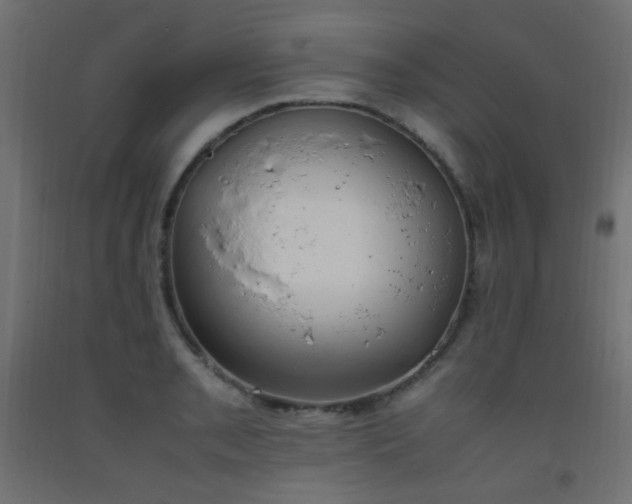 X0000093391085200710111510