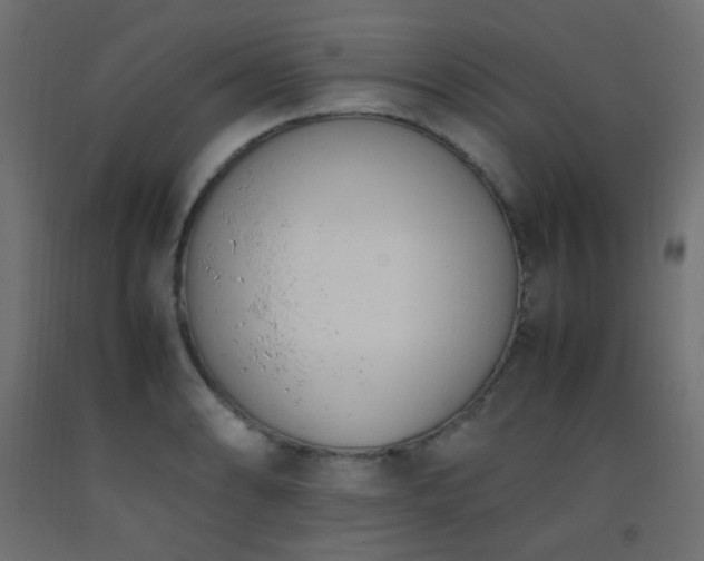 X0000093391086200710111510