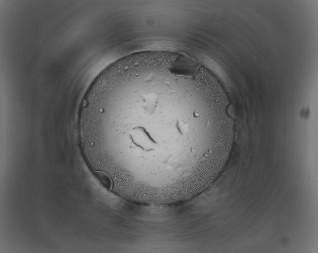 X0000093391087200710111510