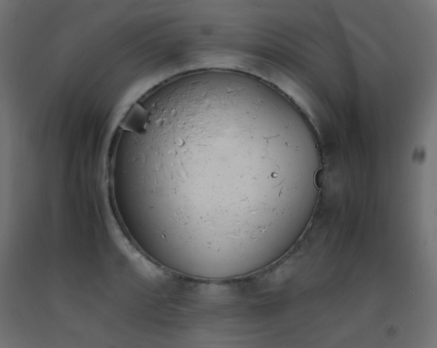 X0000093391088200710111510