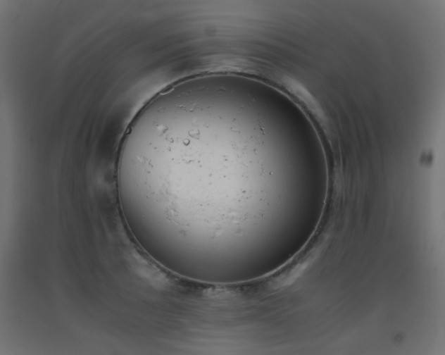 X0000093391089200710111510