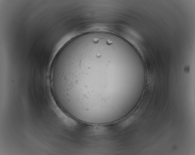 X0000093391090200710111510