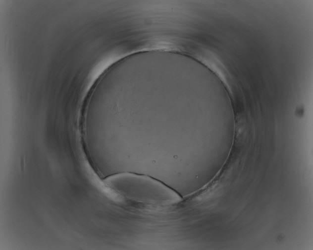 X0000093391091200710111510