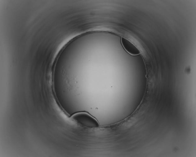 X0000093391092200710111510