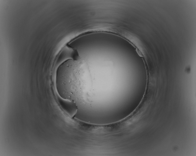 X0000093391093200710111510