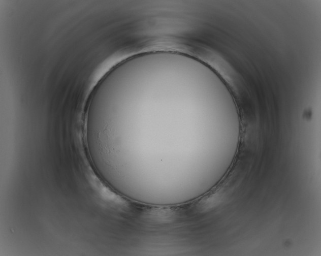 X0000093391094200710111510