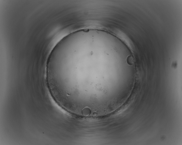 X0000093391095200710111510