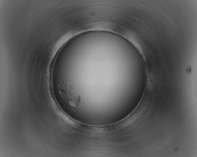 X0000093391096200710111510