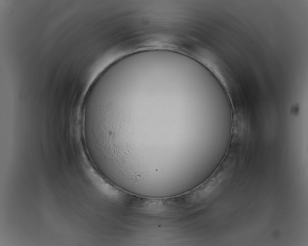 X0000093391098200710111510