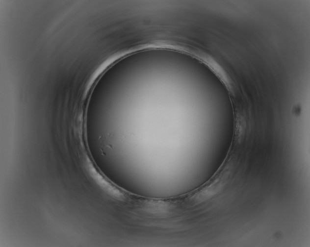 X0000093391100200710111510