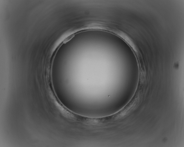 X0000093391101200710111510