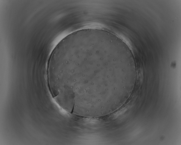 X0000093391103200710111510