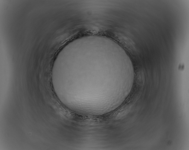 X0000093391105200710111510