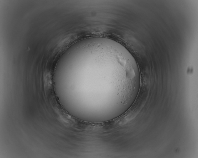 X0000093391106200710111510