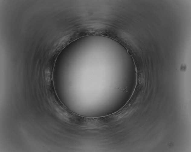 X0000093391108200710111510