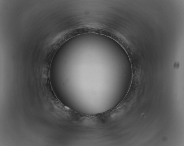 X0000093391110200710111510