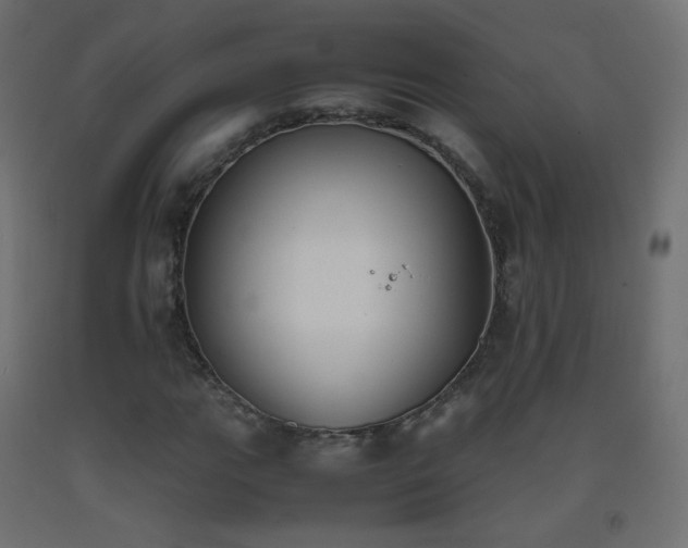 X0000093391111200710111510