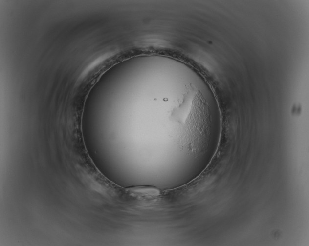 X0000093391112200710111510