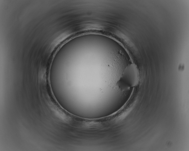 X0000093391113200710111510