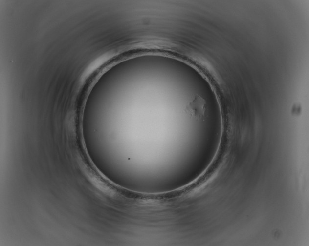 X0000093391114200710111510