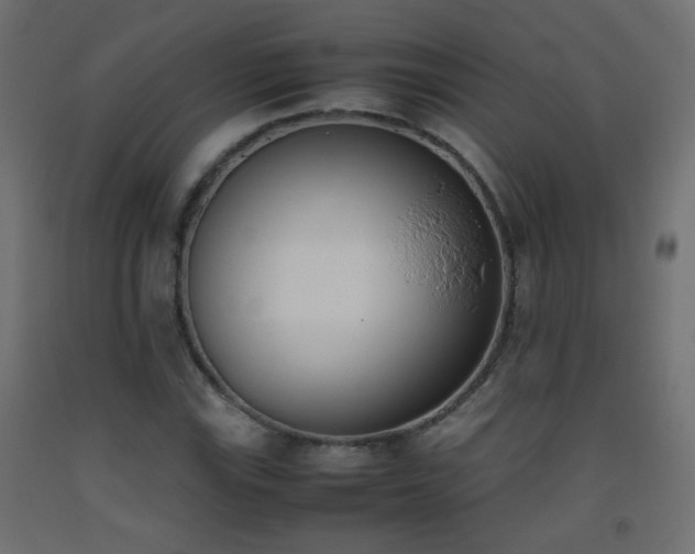 X0000093391115200710111510