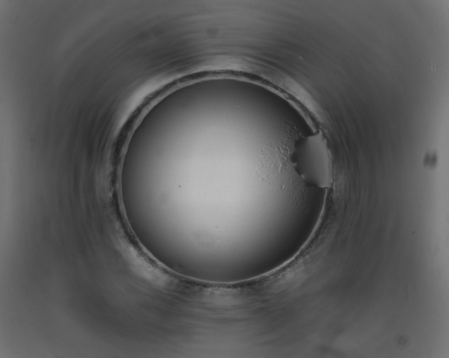 X0000093391116200710111510