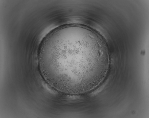 X0000093391117200710111510