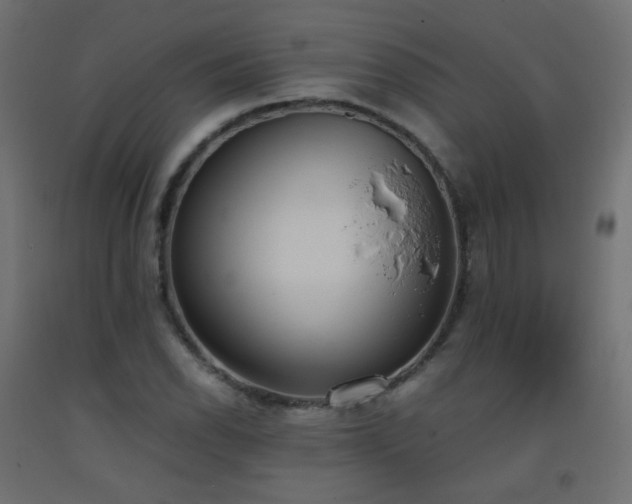 X0000093391118200710111510