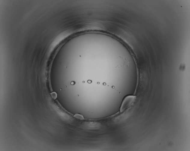 X0000093391119200710111510