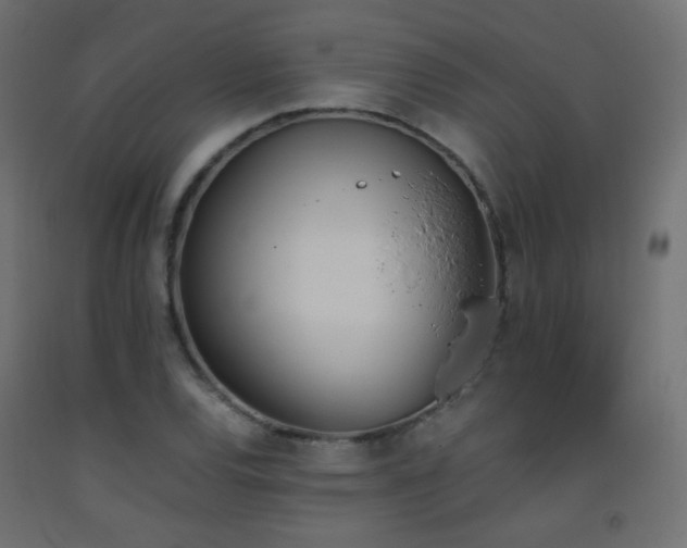 X0000093391120200710111510