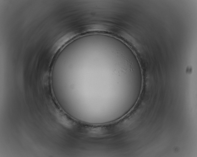 X0000093391121200710111510