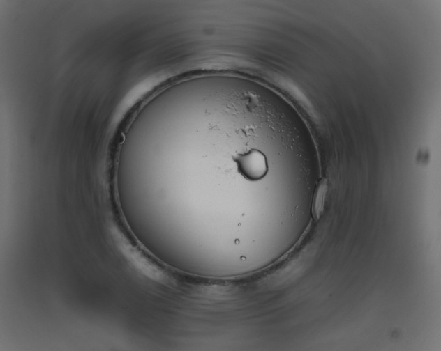 X0000093391122200710111510