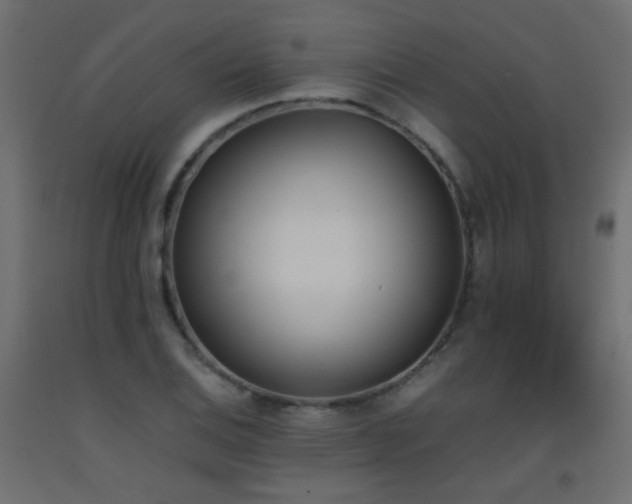 X0000093391124200710111510