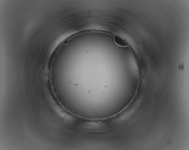 X0000093391125200710111510