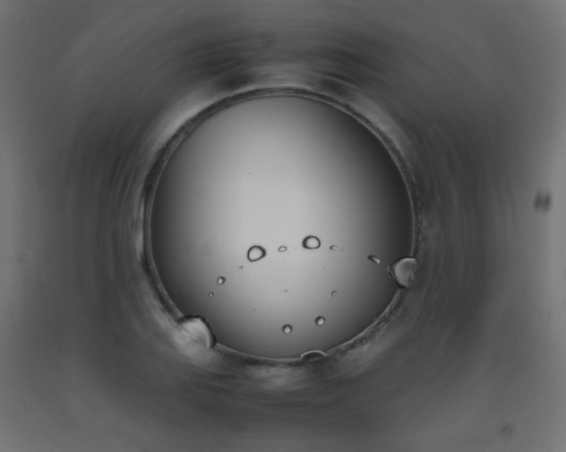 X0000093391127200710111510