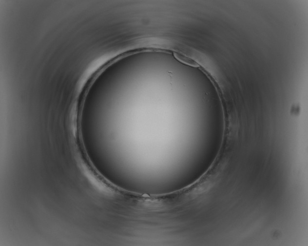 X0000093391128200710111510