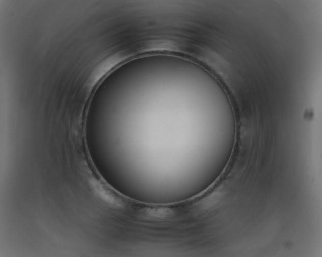 X0000093391129200710111510