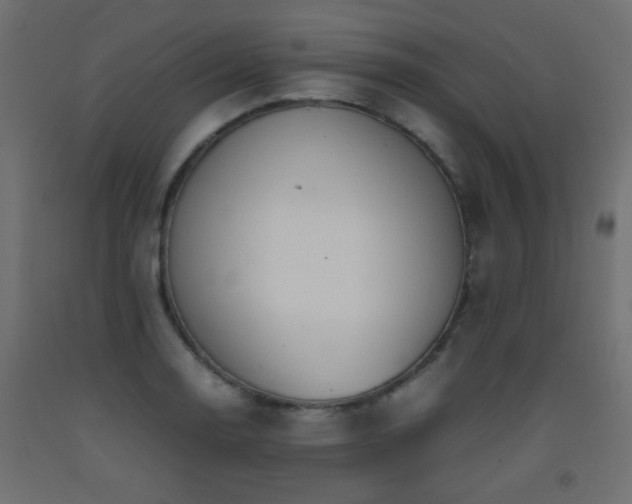 X0000093391130200710111510