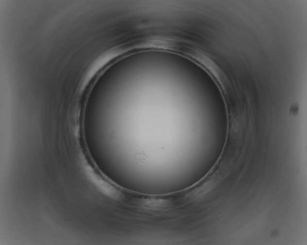 X0000093391131200710111510