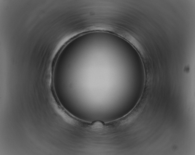 X0000093391132200710111510