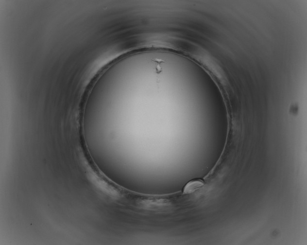 X0000093391133200710111510