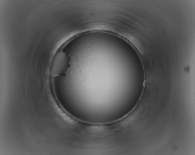 X0000093391134200710111510